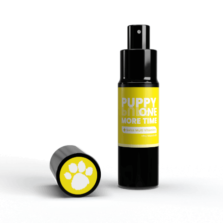 น้ำหอมสำหรับสุนัขและแมว KEVINA ผสมวิตามิน บำรุงขน กลิ่น PUPPY ONE MORE TIME_1